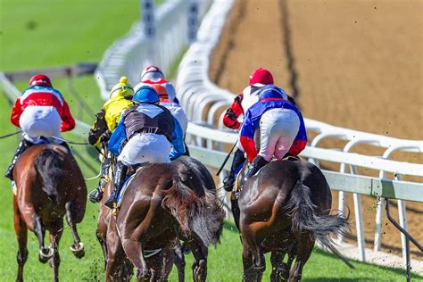 horse racing best odds guaranteed.